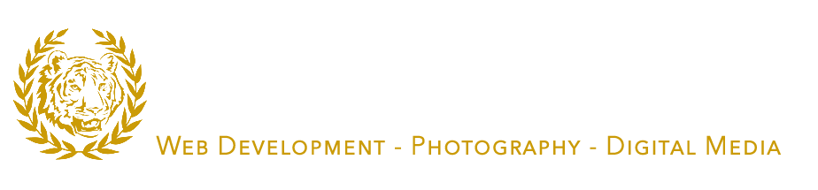 NTXMedia Logo